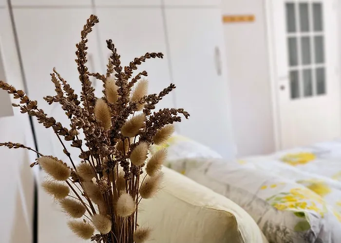 Appartement Nuci's Place Lovely With Balcony 15 Min From Blloku *