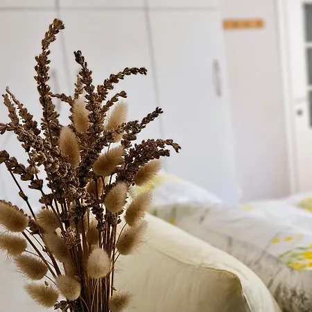 아파트 Nuci's Place Lovely With Balcony 15 Min From Blloku *